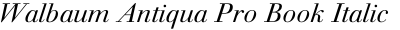 Walbaum Antiqua Pro Book Italic